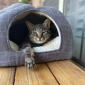 Meet your Posher, Luke